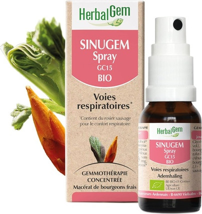 Vitamin Serum Herbalgem Organic Sinugem