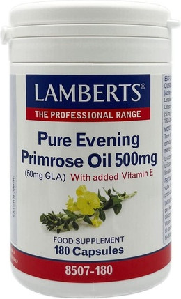 Oil Lamberts