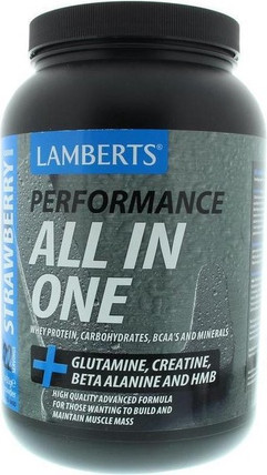 Пищевая добавка Lamberts Performance All-in-one