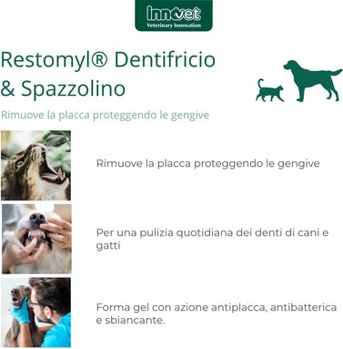 Toothpaste Innovet Restomyl Small