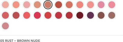 Lipstick Radiant Professional Ultra Nourishing Matte Lipstick