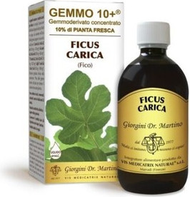 Magen-Darm-Gesundheitsergänzung Dr Giorgini G10+ Ficus