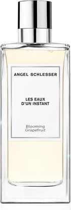 Eau De Toilette Angel Schlesser Les Eaux D'Un Instant