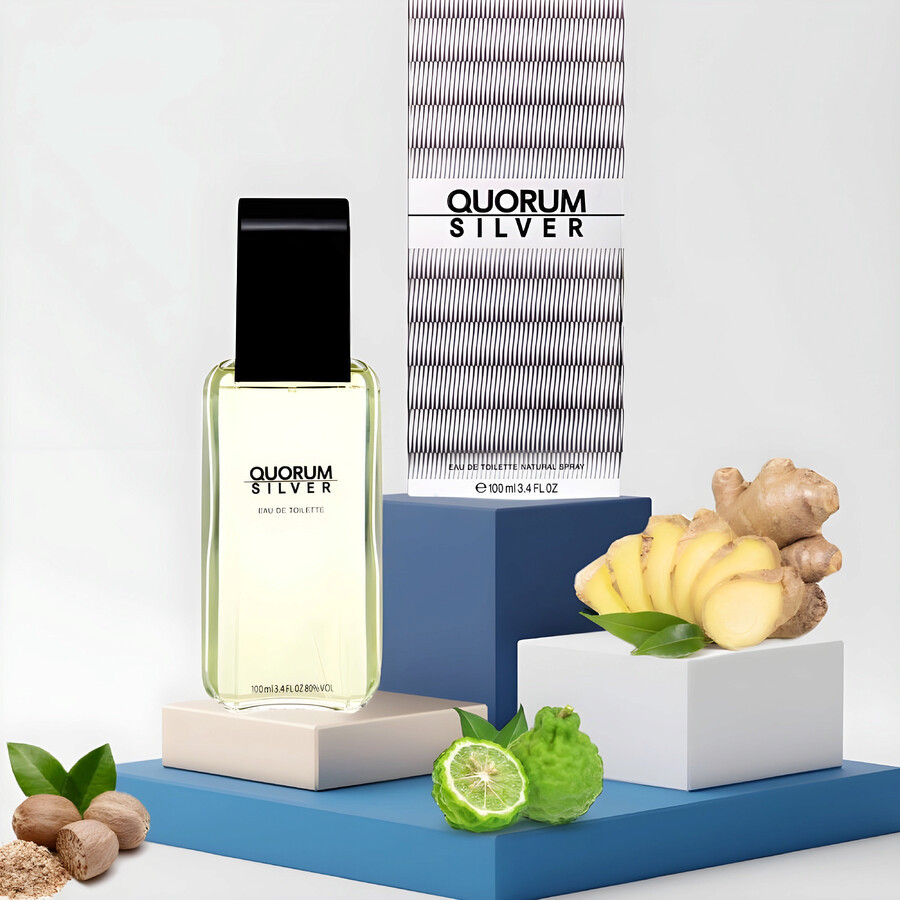 Eau de Toilette Antonio Puig Quorum Silver
