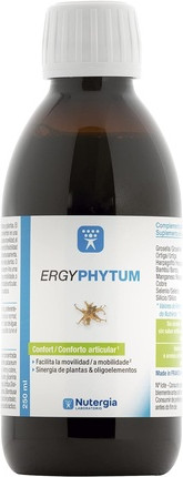 Ergyphytum Joints