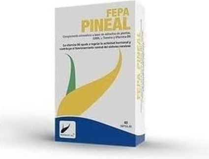 Витамин Fepa