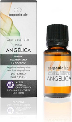 Ätherisches Öl Angelikawurzel von Terpenic