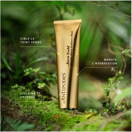 Mask Antipodes Aura Gold