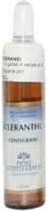 Vitamin Serum Forza Vitale Mittelmeerblumen