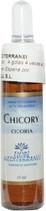 Essential Oil Forza Vitale Forza Vita Fiori Mediterranei Chicory