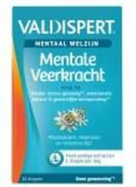 Valdispert Mental Strength Nahrungsergänzungsmittel