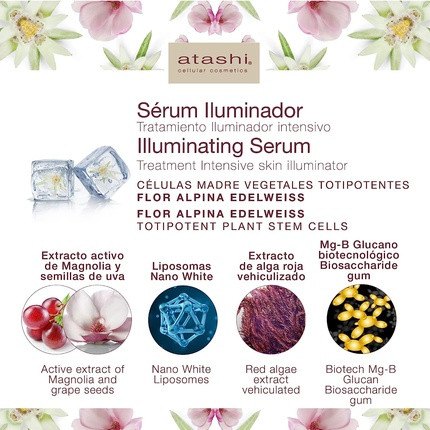 Serum Atashi Atashi Straffung und Leuchtkraft Hocheffektiv Anti-Müdigkeit Aufhellend
