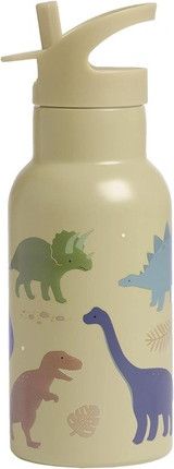 Insulated Water Bottle A Little Lovely Company