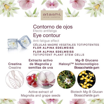 Augencreme Atashi Lifting Illuminating Anti-Fatigue Eye Contour