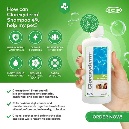 Shampoo Icf Sh 4%