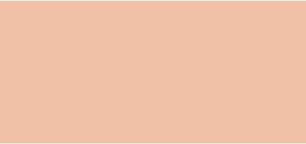 Face Cream Erborian BB Cream SPF 20