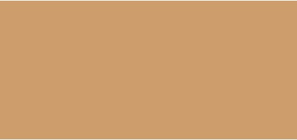 Serum Foundation Inika Organic Natural Light Care