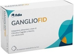 Supplement Fidia Farmaceutici Gangliofid Memory