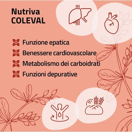 Nahrungsergänzungsmittel Nutriva Nutriva Coleval