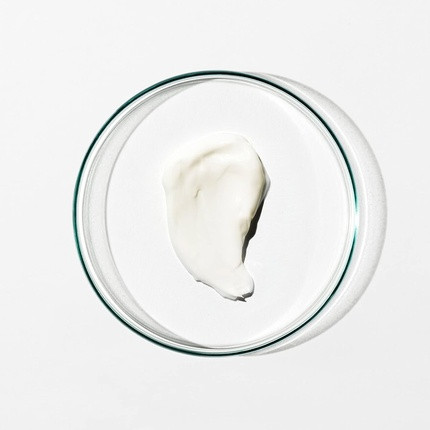 H Hadalabo Shirojyun Premium Hyaluronic Acid Moisturizing Cream