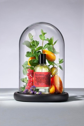 Eau De Toilette Bullfrog Elements