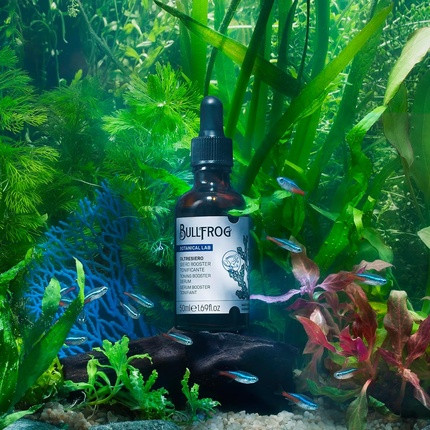 Toning Booster Serum Bullfrog