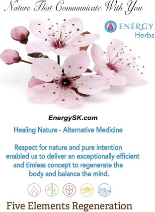 Nutrition Energy