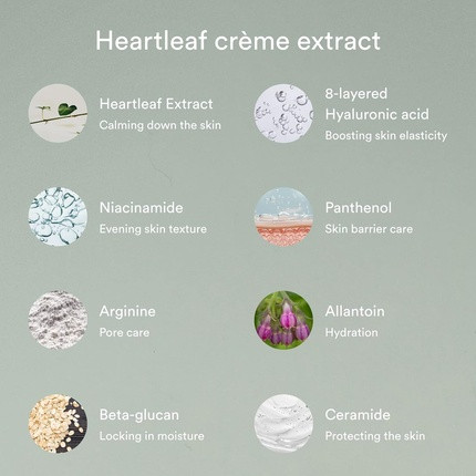 Gesichtscreme Abib Heartleaf Calming Cream