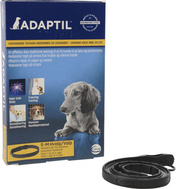 Adaptil Calm Halsband für Hunde