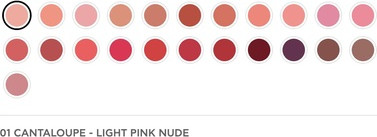 Lipstick Radiant Professional Advanced Care
