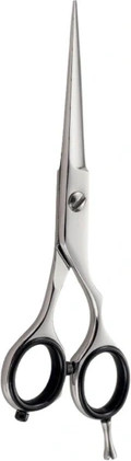 Haarschere Xanitalia Iwasaki Master Offset Scissors 6"