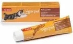 Cats Pasta Candioli