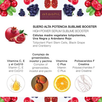 Anti-Aging Serum Atashi Antioxidant High Potency Sublime Booster Serum