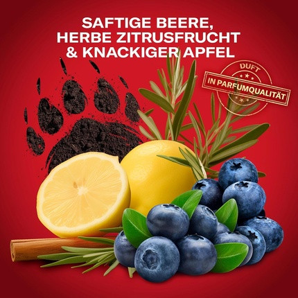 Гель для душа Old Spice Bearglove