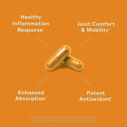 Herbal Supplement Organic India Turmeric Curcumin Joint Mobility & Support