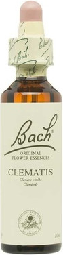 Flower Essence Bach Clematis