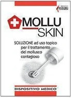 Solution Pentagon Molluskin