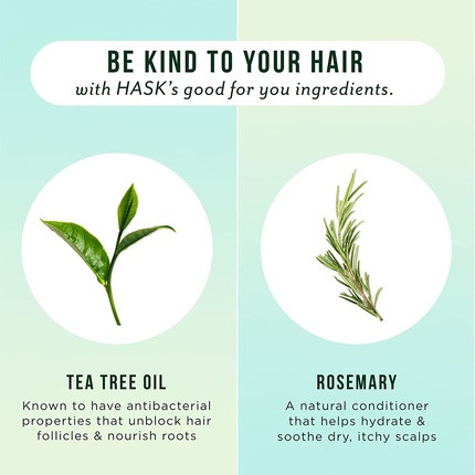 Shampoo Hask Tea Tree Oil & Rosemary