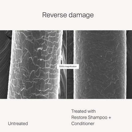Shampoo Living Proof Restore Shampoo & Conditioner