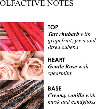 Bath and Shower Gel Molton Brown Delicious Rhubarb and Rose