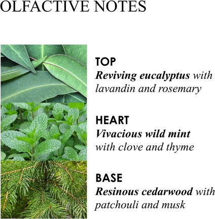 Гель для душа Molton Brown Infusing Eucalyptus