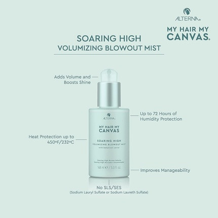 Blowout Mist Alternative My Hair My Canvas Soaring High