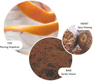 Body Lotion Molton Brown Vetiver & Grapefruit