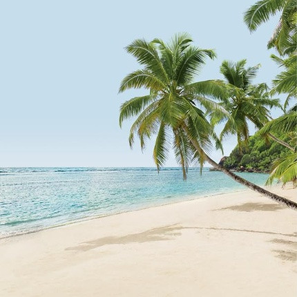 Shower Oil Thalgo Islands