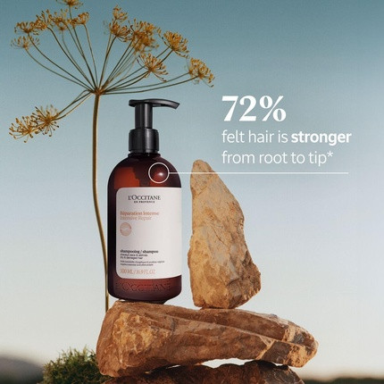 Shampoo L'Occitane Intensive Repair
