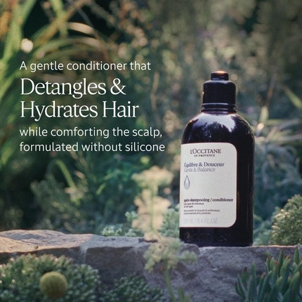 Conditioner L'Occitane Gentle & Balance