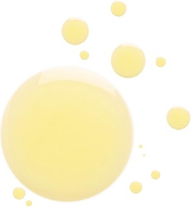 Trockenöl Compagnie De Provence Ultra Nourishing Karite