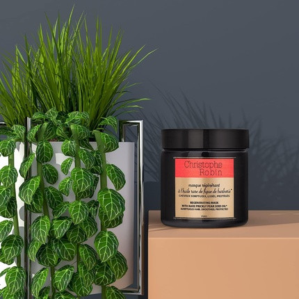 Haarmaske Christophe Robin Regenerating Mask mit seltenem Kaktusfeigenkernöl