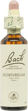 Flower Essence Bach Bach Flower No 17 Hornbeam