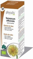 Plant Drops Physalis Taraxacum Officinale